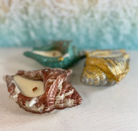 Seashell Concrete Candle